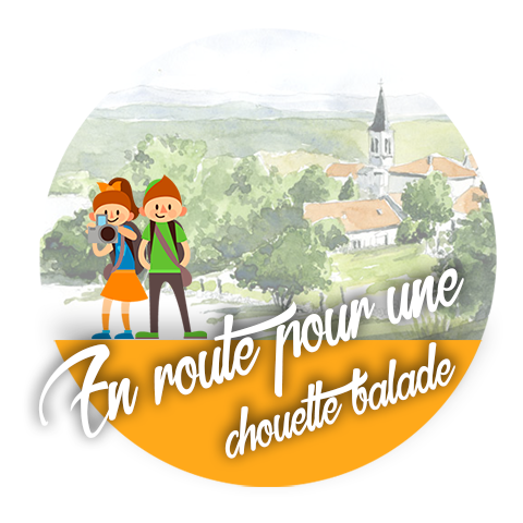 image-chouette-01