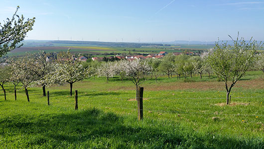Une vue générale de la commune de Puzieux en Moselle