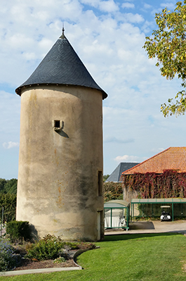 promenade2-2021