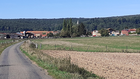 Une vue générale de la commune de Nepvant en Meuse