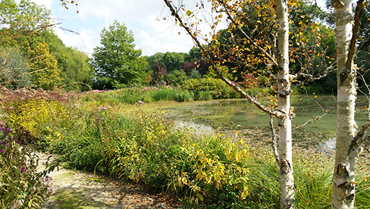 Le jardin d’Aubépré de Gélaucourt en Meurthe et Moselle