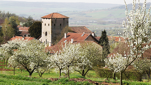 Une vue générale de la commune d'Arry en Moselle