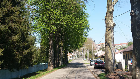 Une vue de la rue Principale de la commune de Craincourt en Moselle