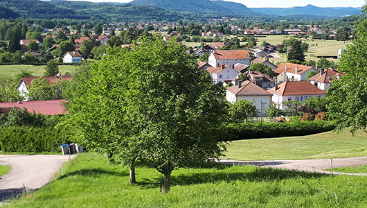 Une vue générale de la commune d'Anould dans les Vosges