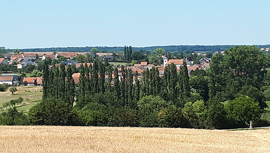 Une vue générale de la commune de Romelfing en Moselle
