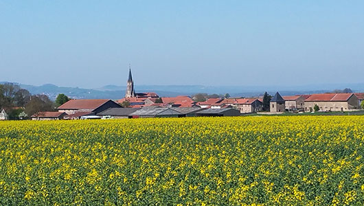 Une vue générale de la commune de Jallaucourt en Moselle